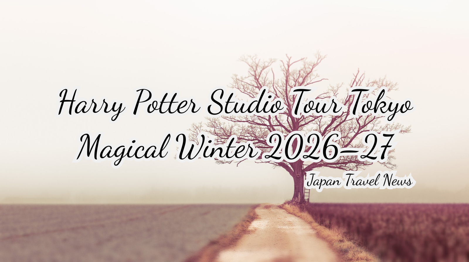 Harry Potter Studio Tour Tokyo Magical Winter 2026–27