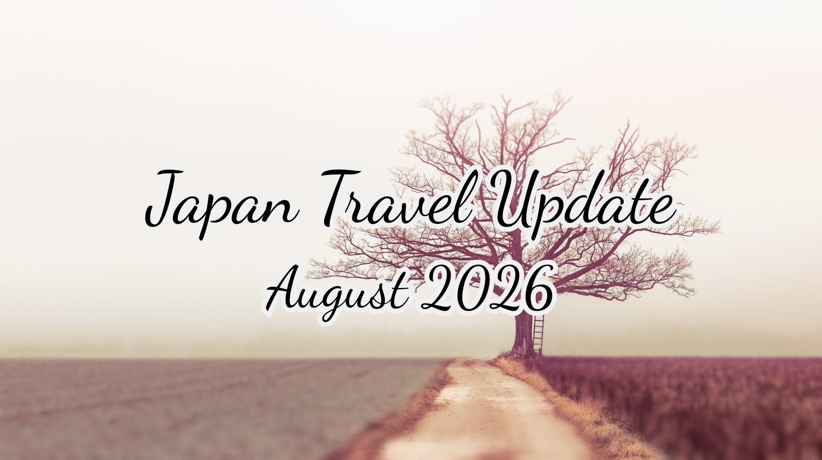 Japan Travel Update - August 2026