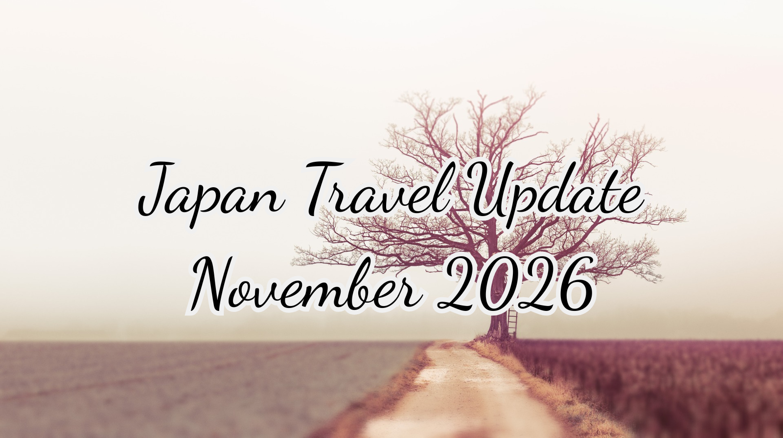 Japan Travel Update — November 2026