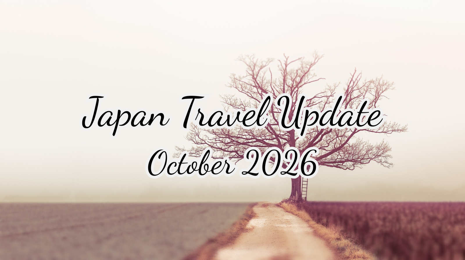 Japan Travel Update — October 2026