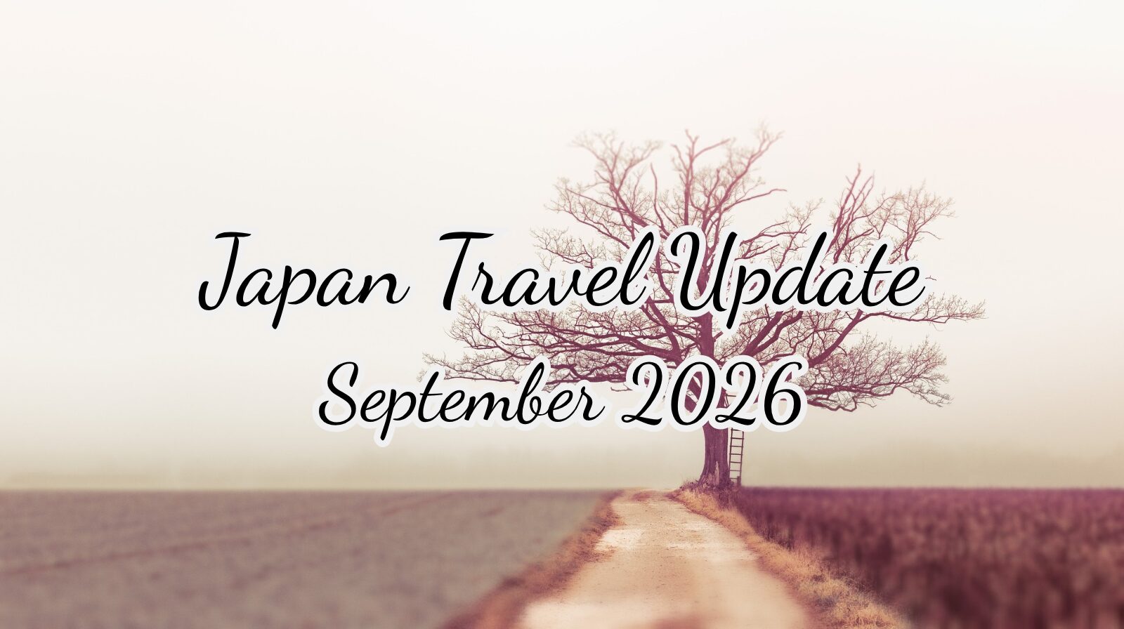 Japan Travel Update — September 2026