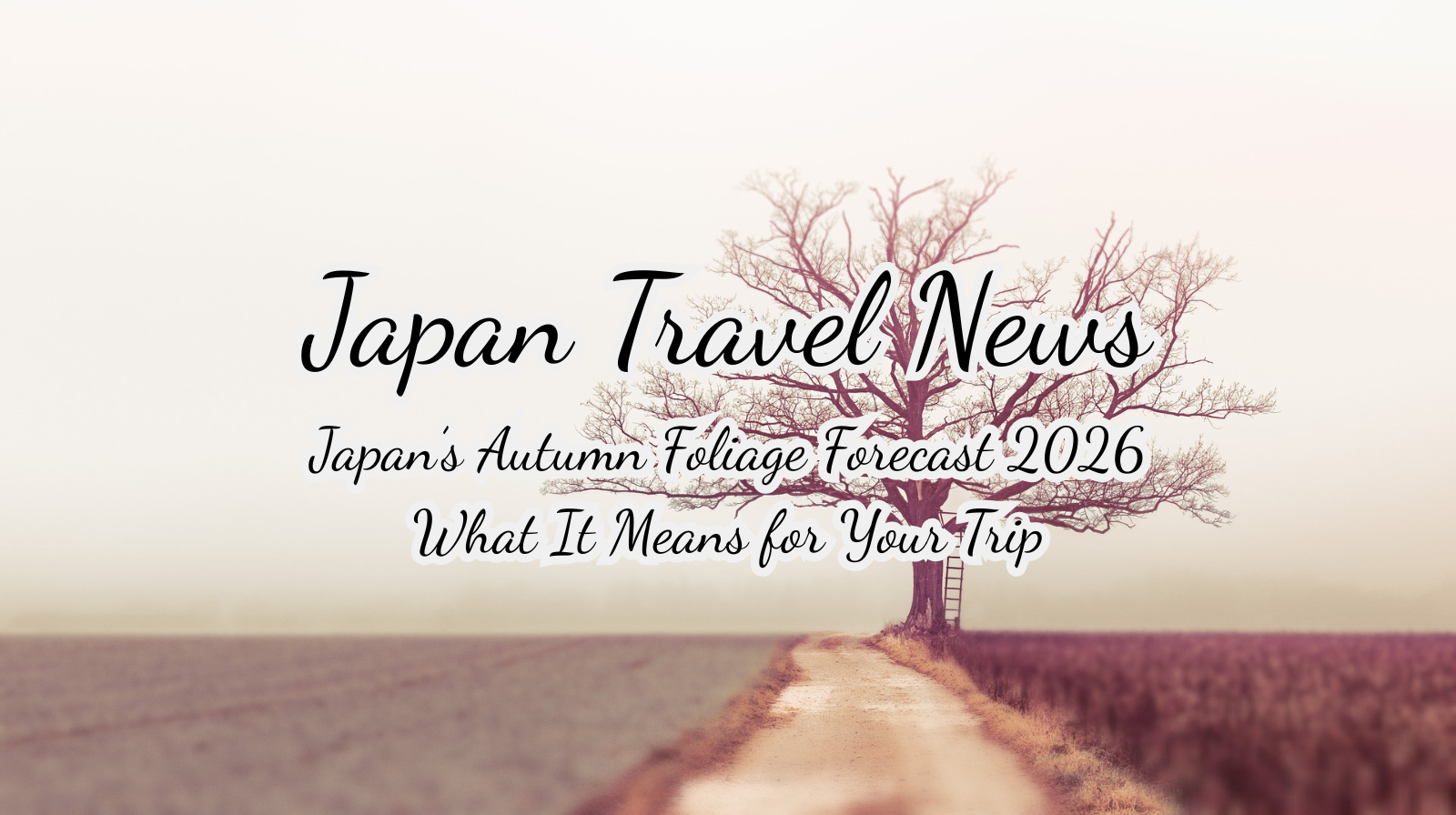 Japan’s Autumn Foliage Forecast 2026