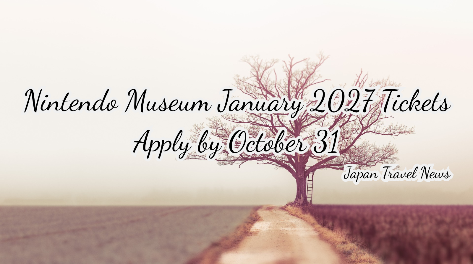 Nintendo Museum January 2027 Tickets