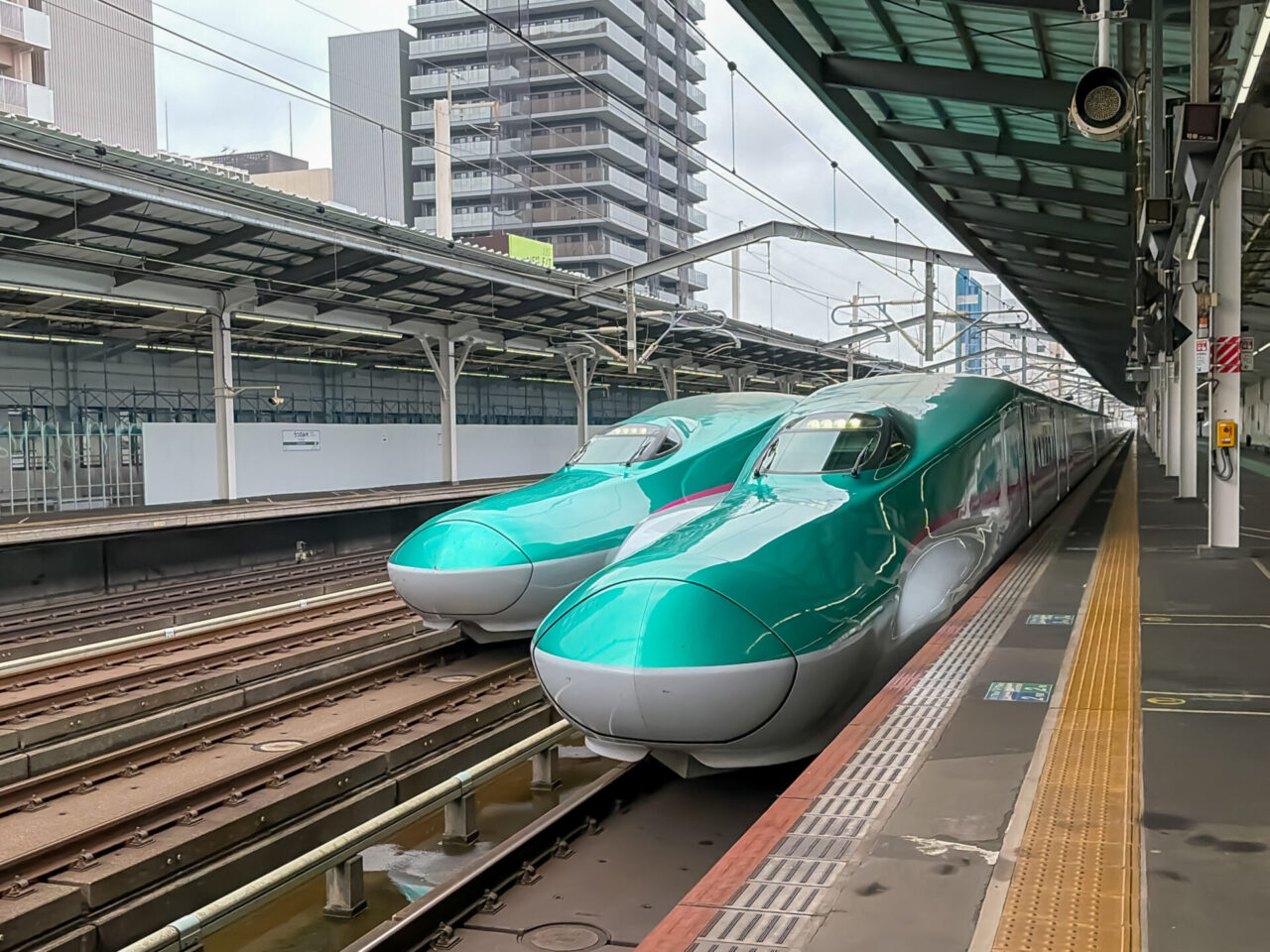 Tohoku Shinkansen train at a station platform in Japan