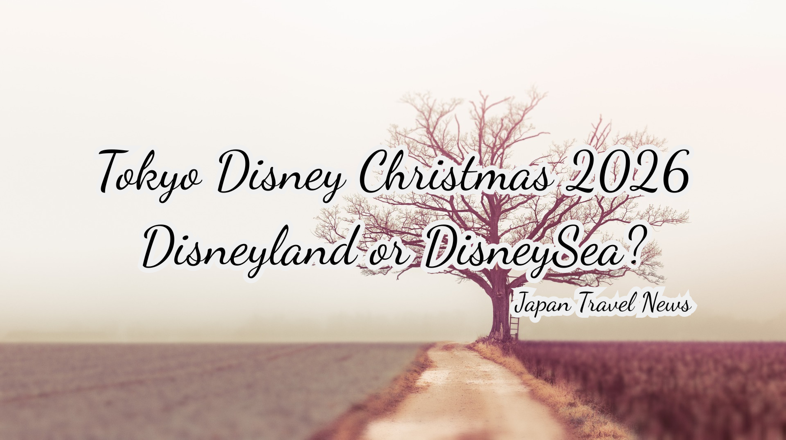 Tokyo Disney Christmas 2026