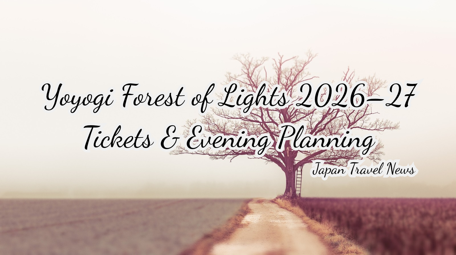 Yoyogi Forest of Lights 2026–27