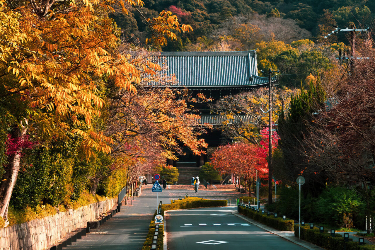 Autumn foliage at Chion-in Temple in Kyoto