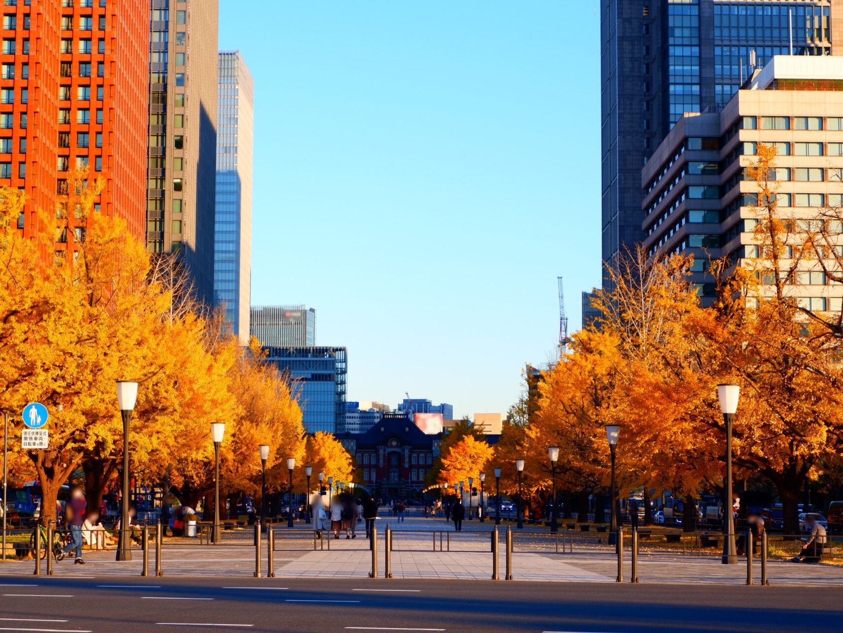 Autumn street scenery in Marunouchi, Tokyo