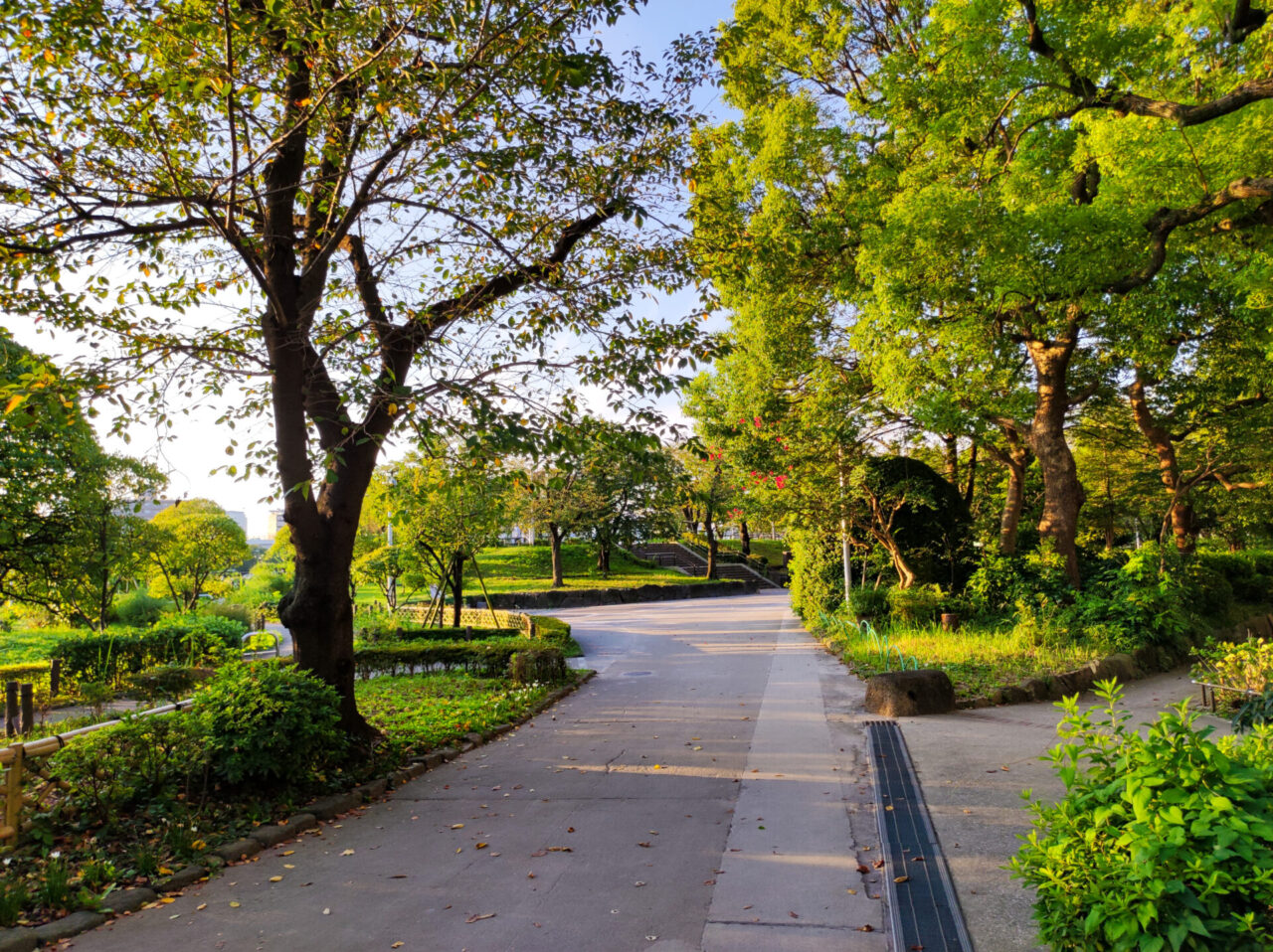 Autumn scenery in Sumida Park, Tokyo