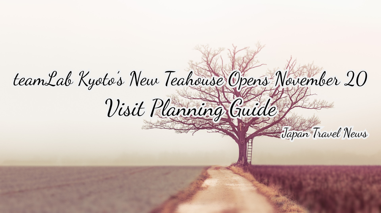 teamLab Kyoto’s New Teahouse Opens November 20