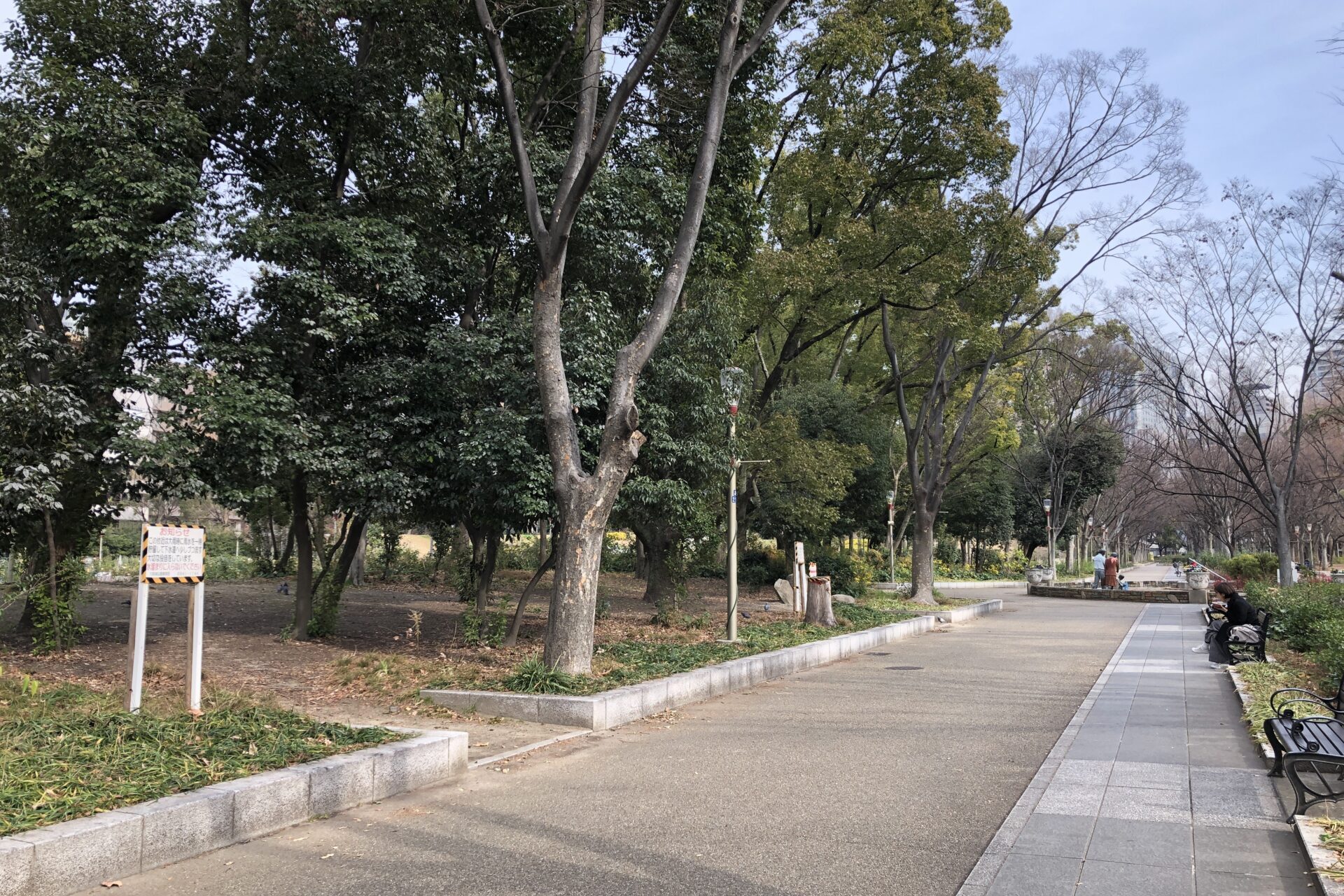 Tree-lined walkway in Utsubo Park in central Osaka