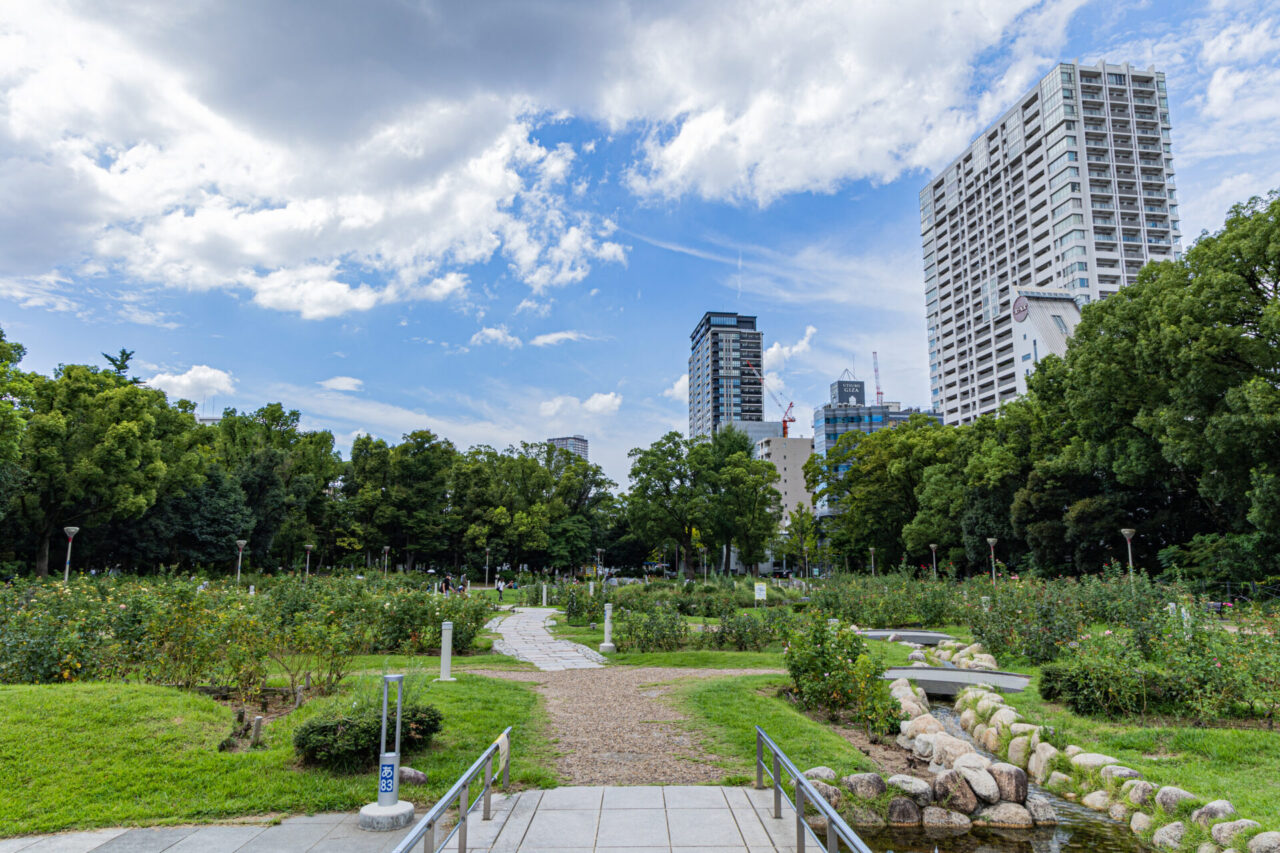 Green space and walking paths in Utsubo Park, Osaka